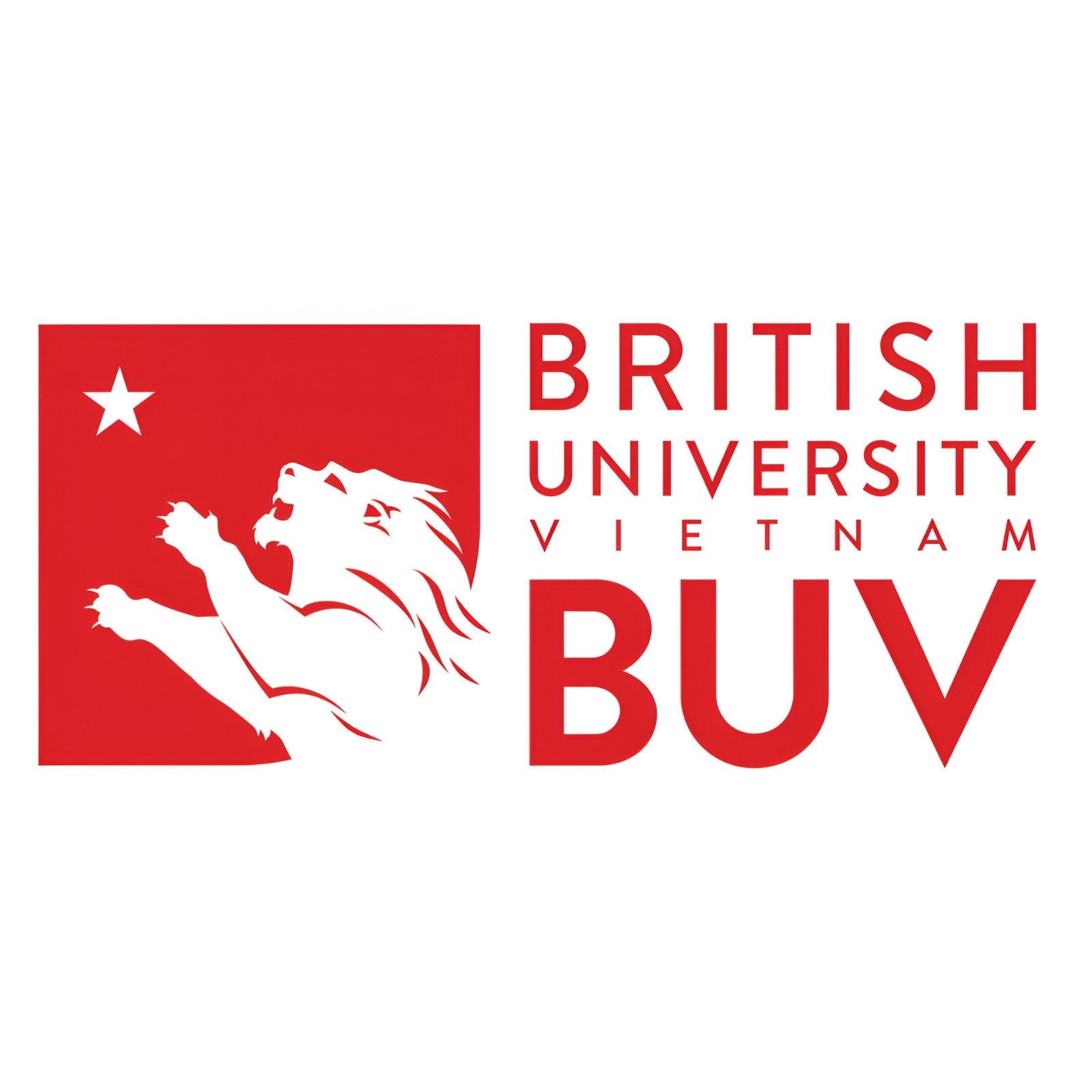 dritish university vietnam