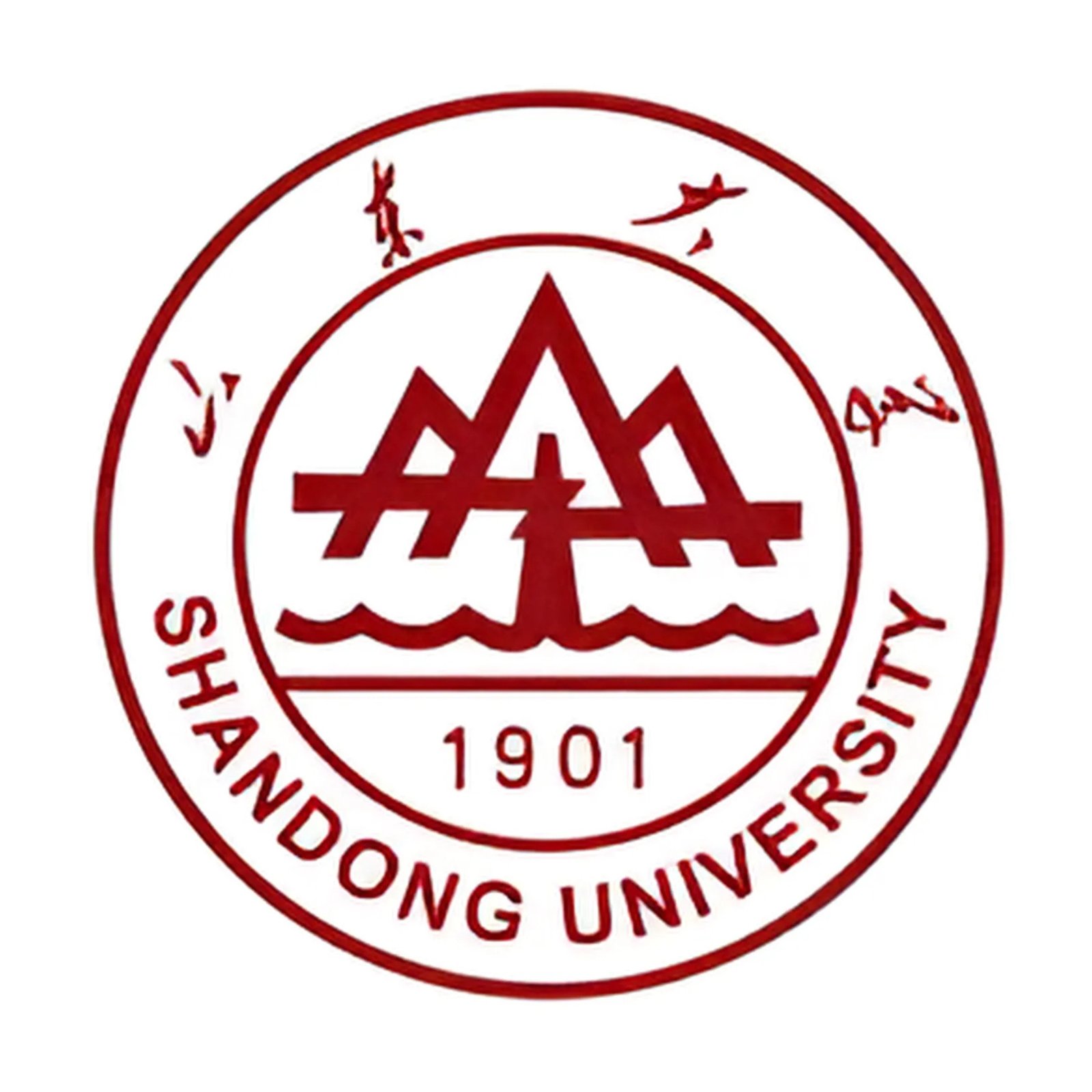 shandong university china