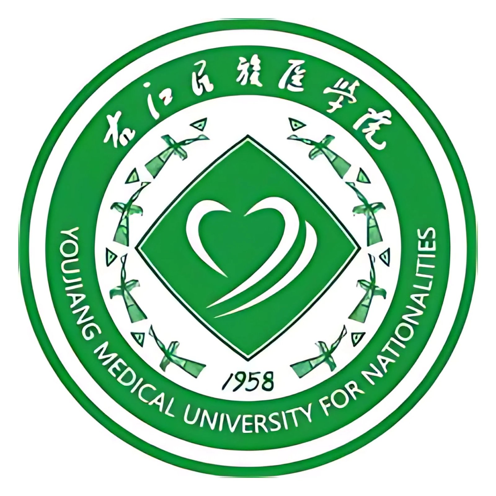 youjiang medical university china