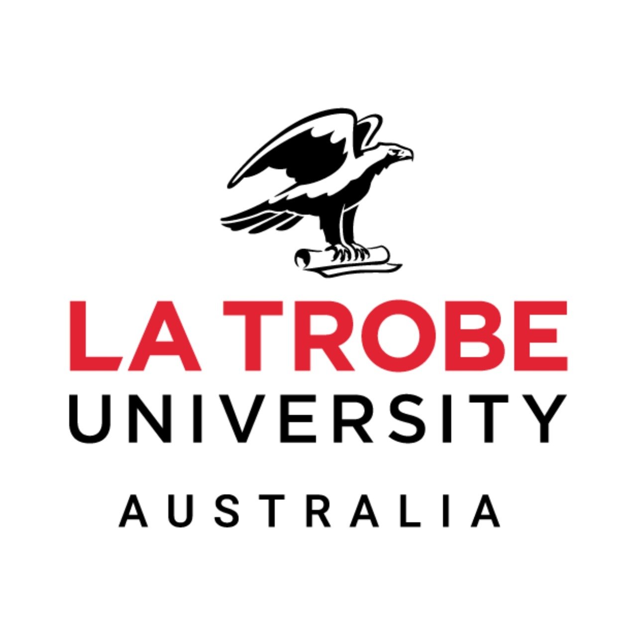 WhatsApp Image 2025 02 06 at 10.05.30 AM 3