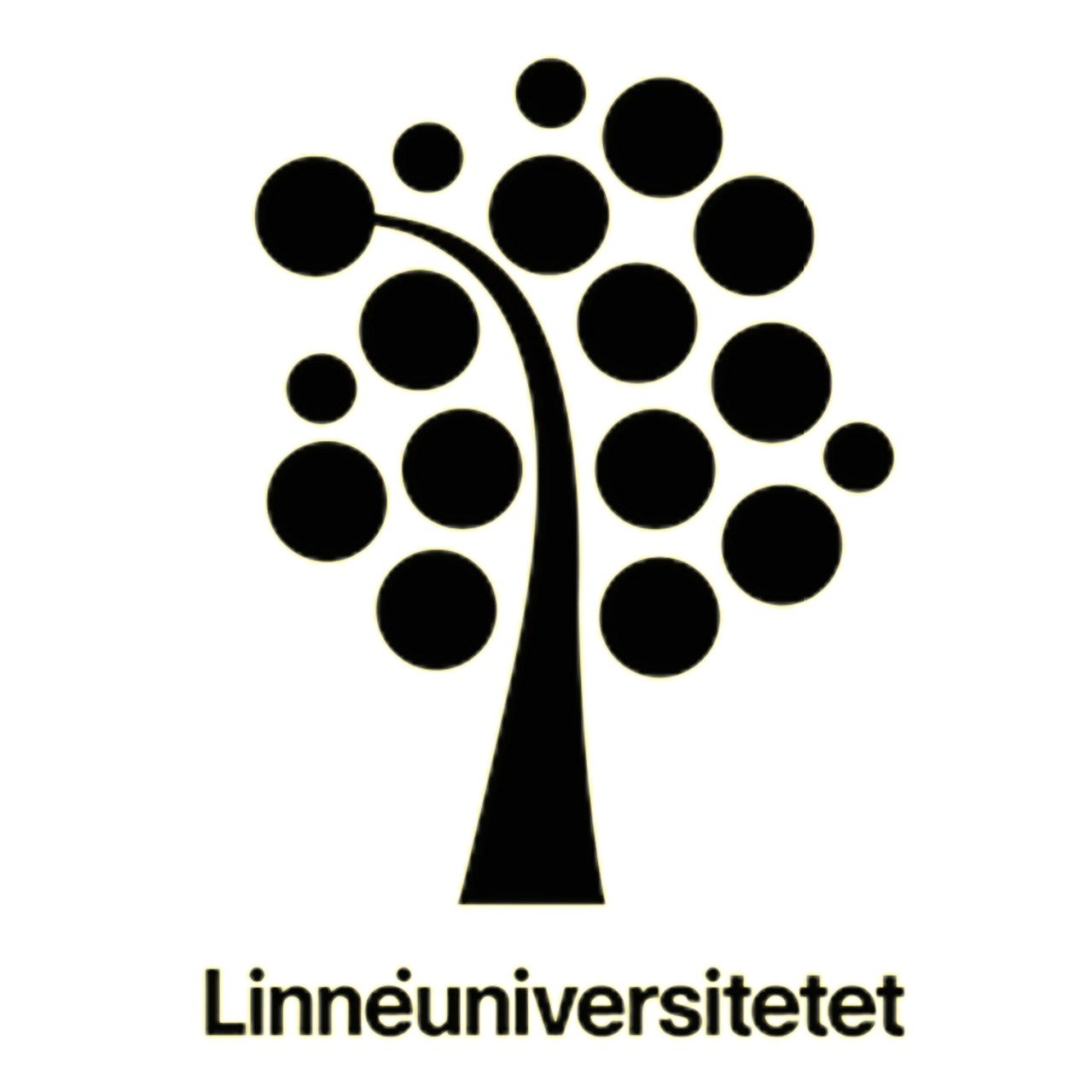 WhatsApp Image 2025 02 07 at 4.06.57 PM